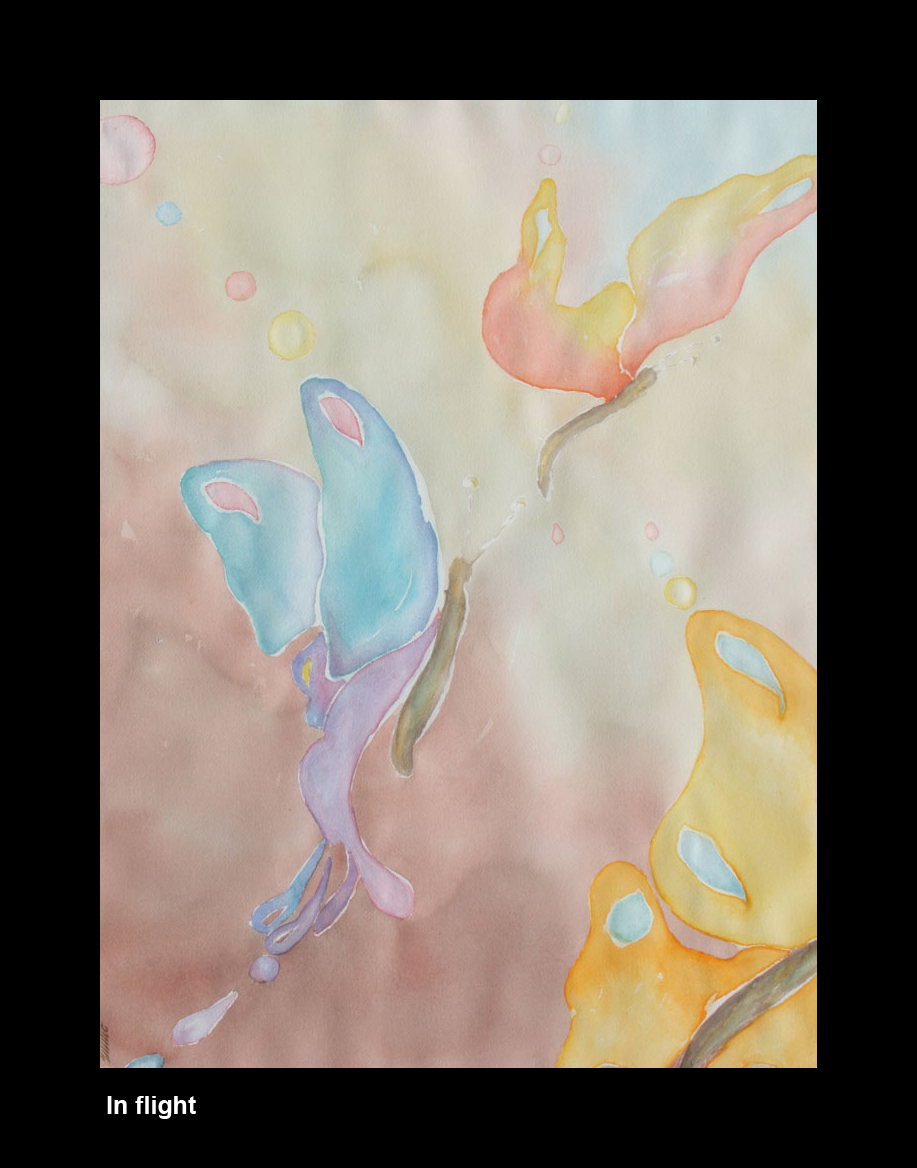 water_in-flight_13318703783_o